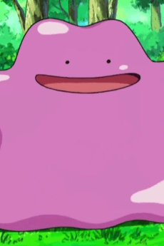 Ditto