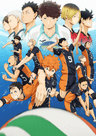 Haikyuu!! series artwork