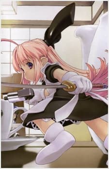 Ichigeki Sacchu!! HoiHoi-san