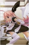 Ichigeki Sacchu!! HoiHoi-san series artwork