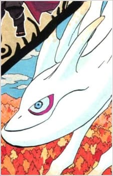 Kokuo
