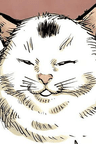 Meowy