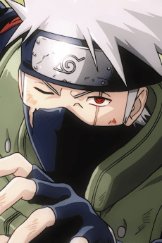 Ninja Ninja