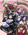 Penguin Musume series artwork