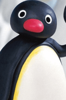 Pingu Pingu