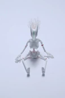 Predator