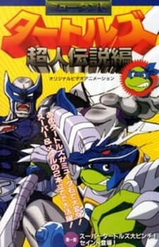 Teenage Mutant Ninja Turtles