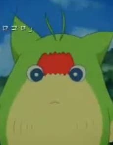 Tori Koro