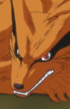 Uub