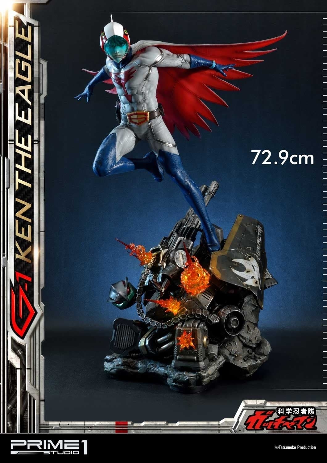 Figure image
