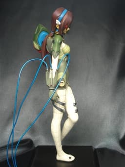 figure