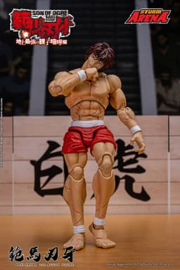 figure