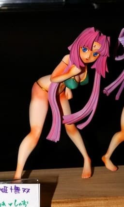 Koihime † Musou ~Doki ☆ Otome Darake no Sangokushi Engi~ - Sonken Chuubou (Renfa) - Swimsuit ver.