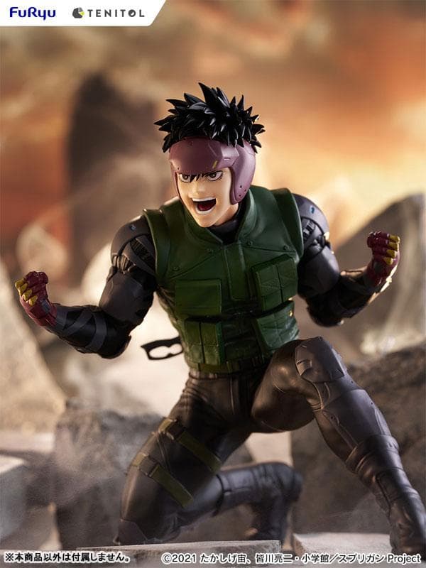 Figure image