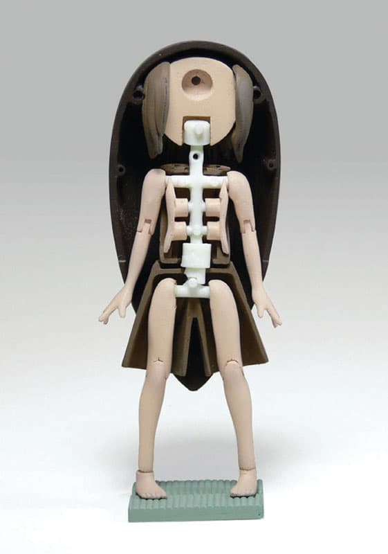 Figure image