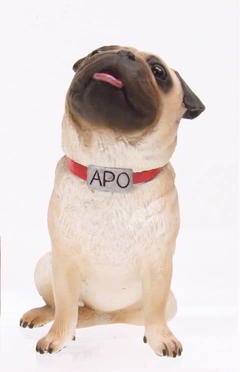 Uchuu Kyoudai - Apo - Limited Edition