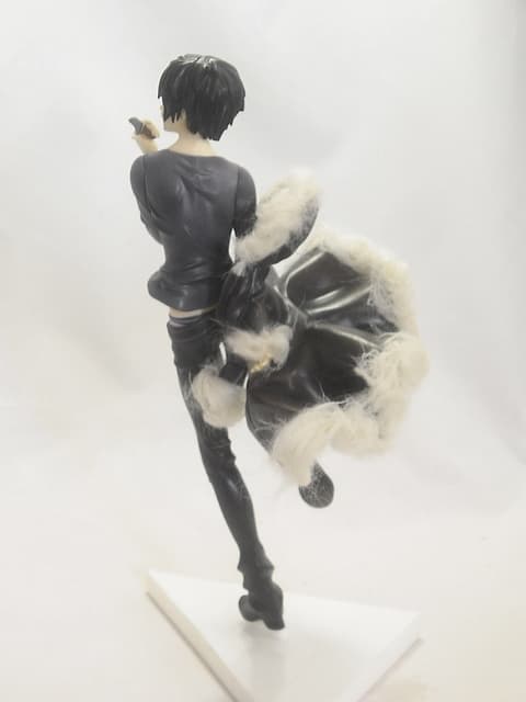 Figure image