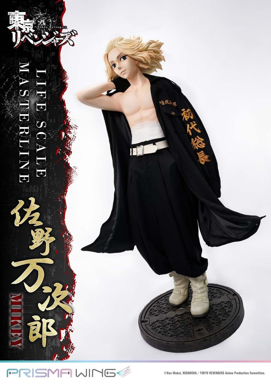 Figure image