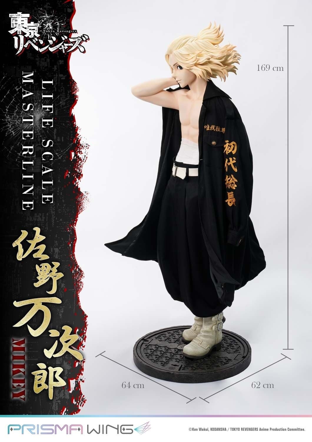 Figure image