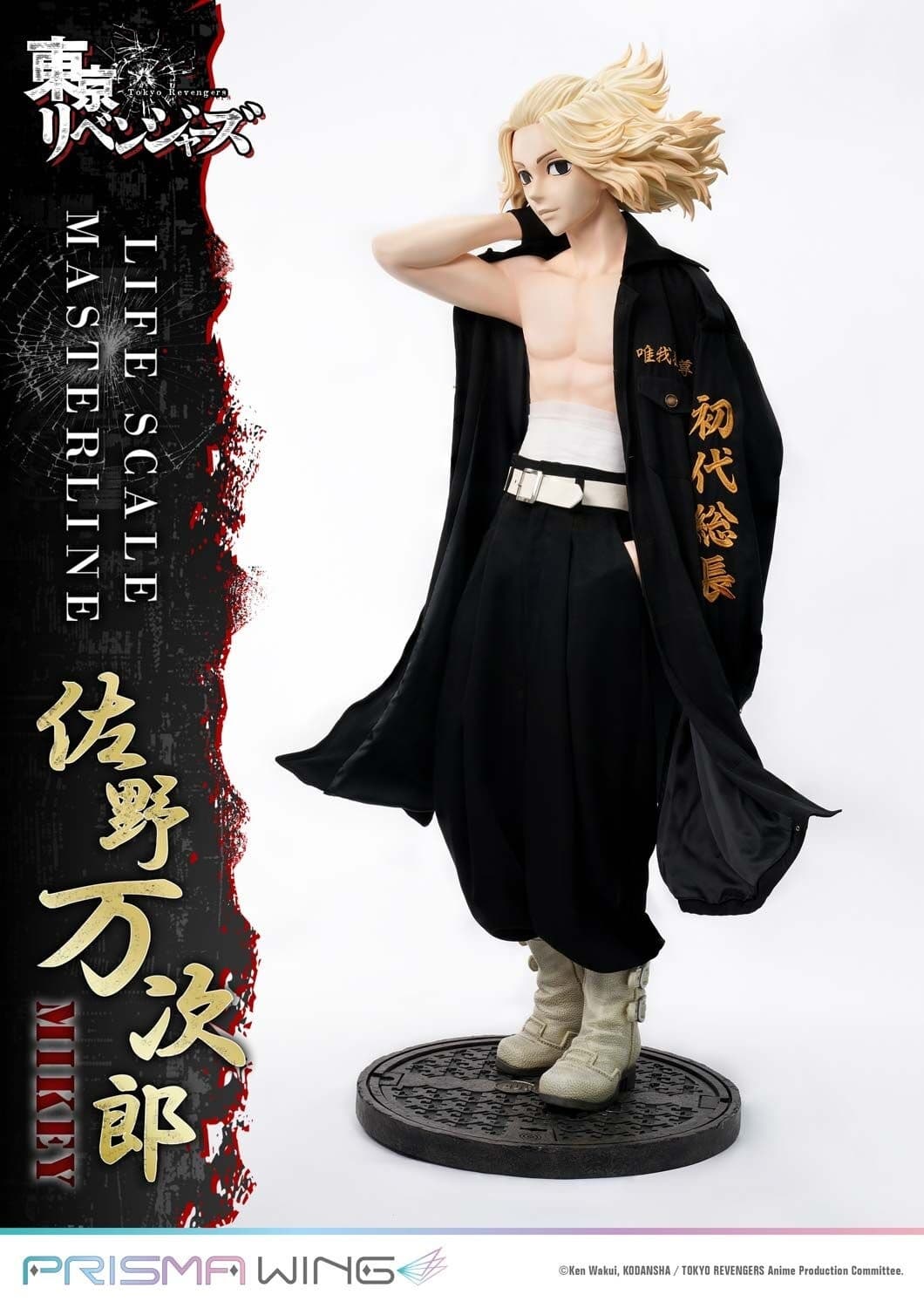 Figure image