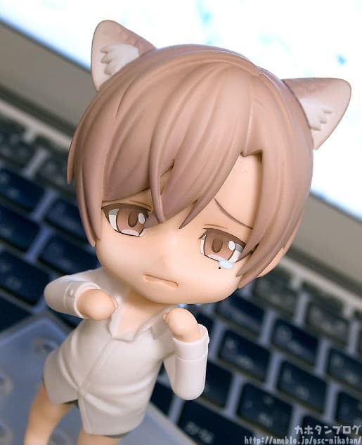 Figure image
