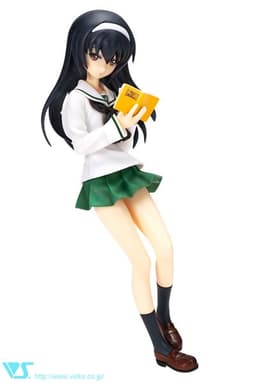 figure