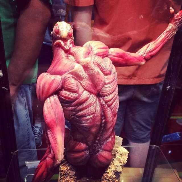 figure