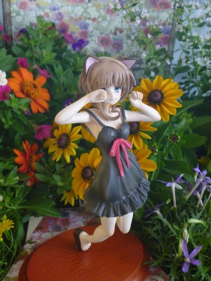 figure