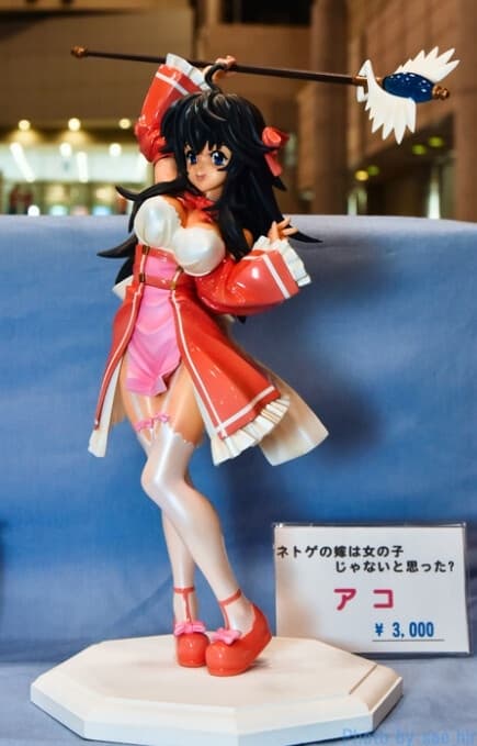Netoge no Yome wa Onna no Ko Janai to Omotta? - Ako