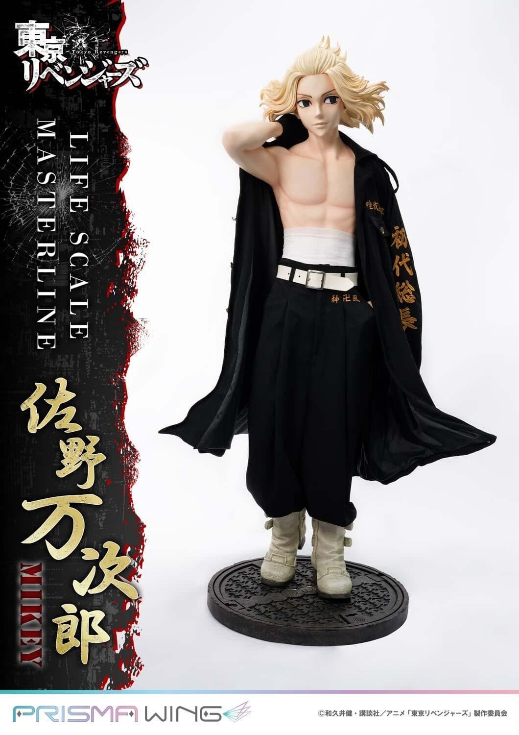 Figure image