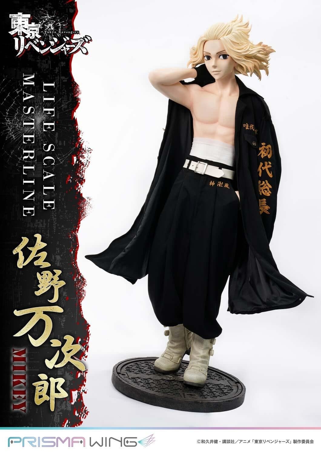 Figure image