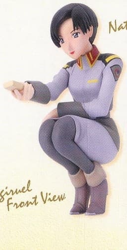 figure